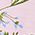 Color Swatch - Pink Floral