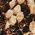Color Swatch - Black