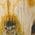 Color Swatch - Butterscotch Multi