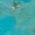 Color Swatch - Blue