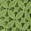 Color Swatch - Green