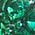 Color Swatch - Green