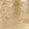Color Swatch - Gold