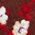 Color Swatch - Floral