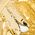 Color Swatch - Gold