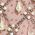Color Swatch - Pink