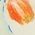 Color Swatch - Floral