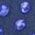 Color Swatch - Blue