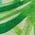 Color Swatch - Abstract Tropical