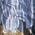 Color Swatch - Navy/Blue
