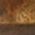 Color Swatch - Brown