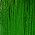 Color Swatch - Green