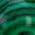 Color Swatch - Multi
