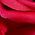 Color Swatch - Red