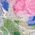 Color Swatch - Floral