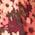 Color Swatch - Floral