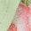 Color Swatch - Floral