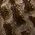 Color Swatch - Mocha