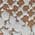 Color Swatch - Ivory