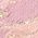 Color Swatch - Floral