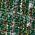 Color Swatch - Green