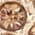 Color Swatch - Brown