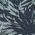 Color Swatch - Sage Tropical Shadow