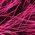 Color Swatch - Pink