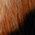 Color Swatch - Leopard