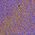 Color Swatch - Sunset Purple/Dark Umber/Warm Taupe/French Almond/