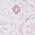 Color Swatch - Pink