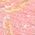 Color Swatch - Guava/Techno Cyan