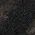Color Swatch - Black