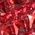 Color Swatch - Winery Red