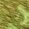 Color Swatch - Green Black