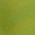 Color Swatch - Green