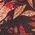 Color Swatch - Crimson/Multi