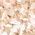 Color Swatch - White