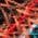 Color Swatch - Red