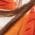 Color Swatch - Orange