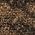 Color Swatch - Brown