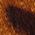 Color Swatch - Animal