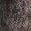 Color Swatch - Metallic