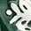Color Swatch - Green