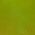 Color Swatch - Gold/Lime