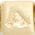 Color Swatch - Shiny Gold