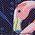 Color Swatch - Flamingo Party