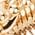 Color Swatch - Gold