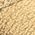 Color Swatch - Gold