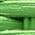 Color Swatch - Green
